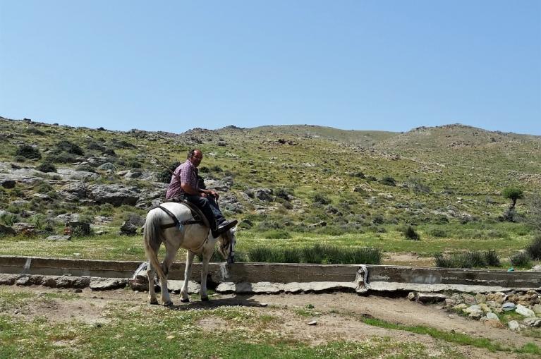 Man riding a horse in Evia