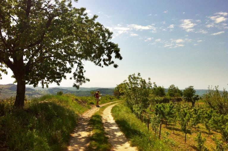 Istria walking trail