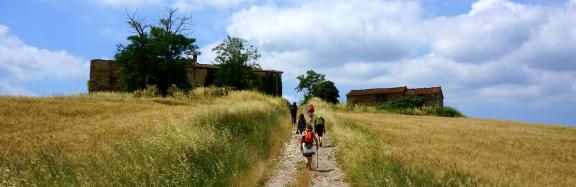 Walking in farmland in Italy